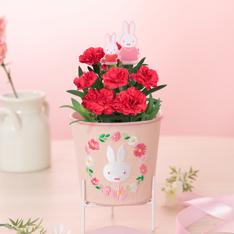 Flower Miffy