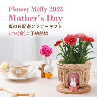 Flower Miffy Flower Miffy