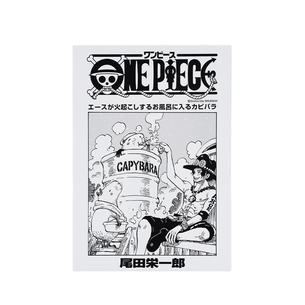 『ONE PIECE』扉絵アートボード　エース（107巻・1087話）